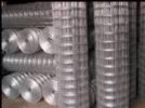 Welded Wire Mesh-Electro Galvanized